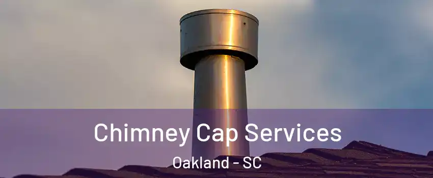 Chimney Cap Services Oakland - SC