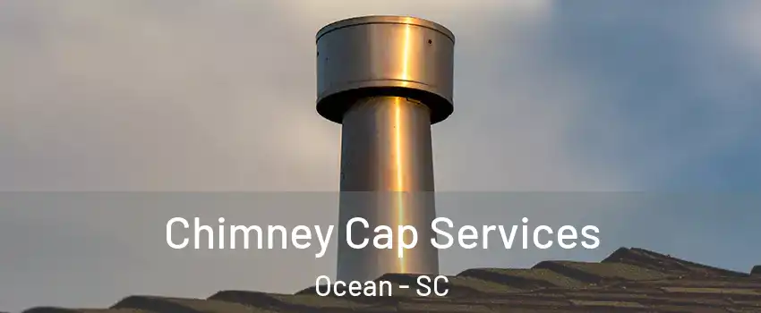 Chimney Cap Services Ocean - SC