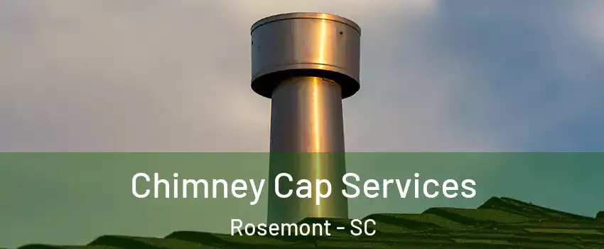 Chimney Cap Services Rosemont - SC