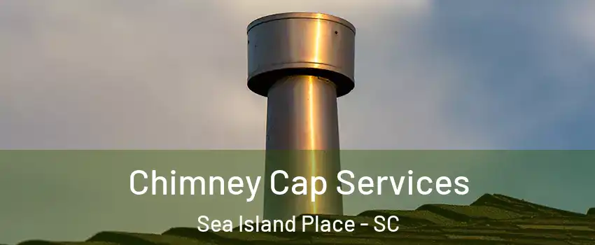 Chimney Cap Services Sea Island Place - SC