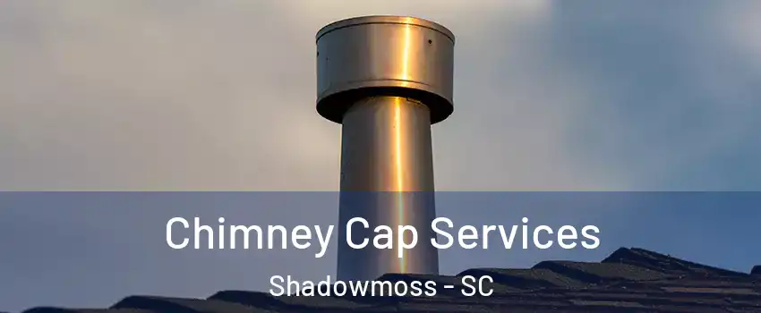 Chimney Cap Services Shadowmoss - SC