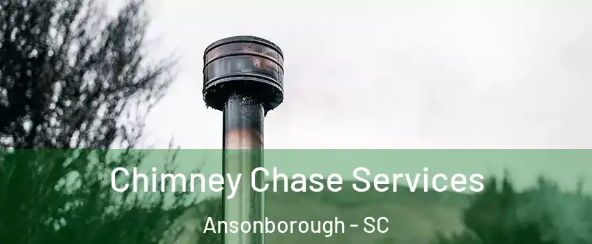 Chimney Chase Services Ansonborough - SC