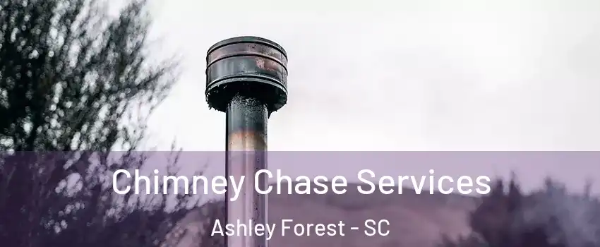 Chimney Chase Services Ashley Forest - SC