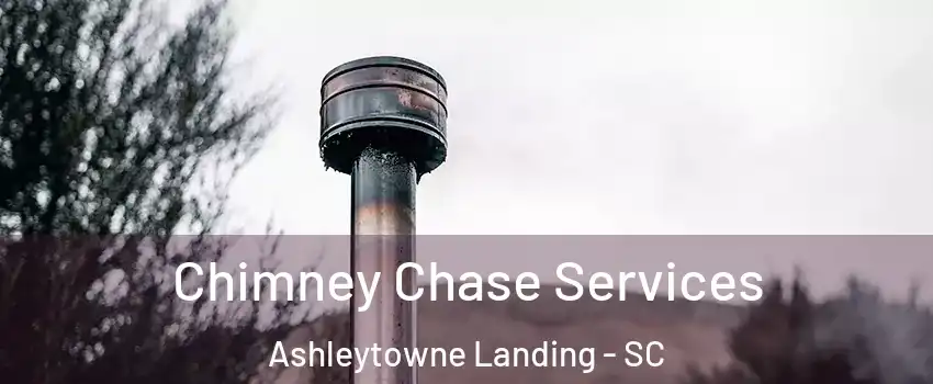 Chimney Chase Services Ashleytowne Landing - SC