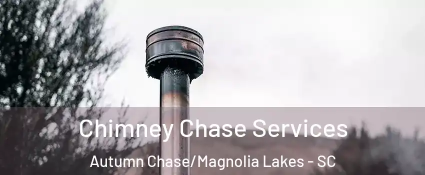 Chimney Chase Services Autumn Chase/Magnolia Lakes - SC