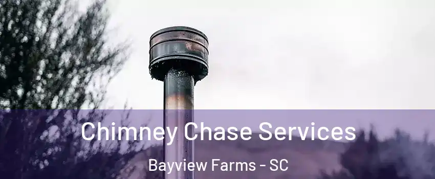 Chimney Chase Services Bayview Farms - SC