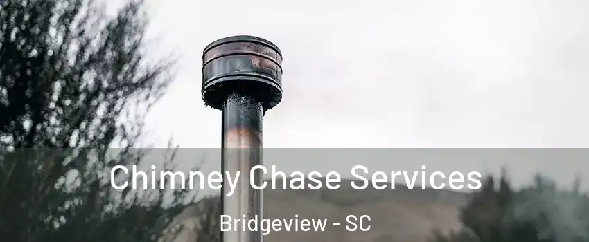 Chimney Chase Services Bridgeview - SC