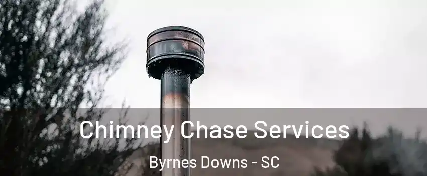 Chimney Chase Services Byrnes Downs - SC