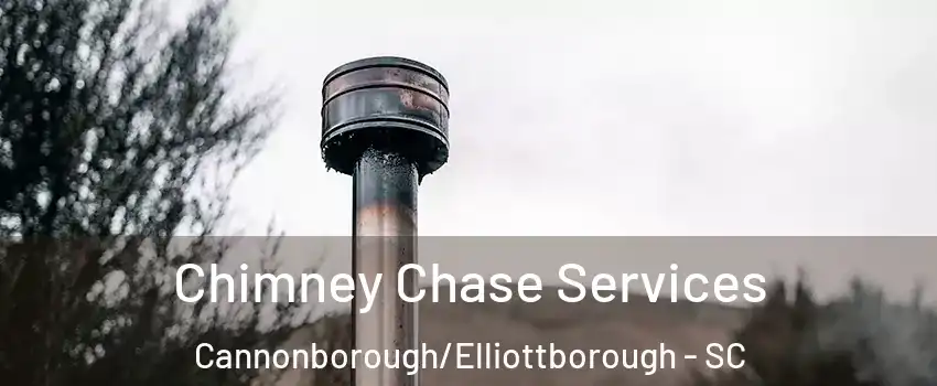 Chimney Chase Services Cannonborough/Elliottborough - SC