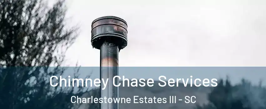 Chimney Chase Services Charlestowne Estates III - SC