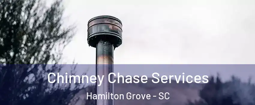 Chimney Chase Services Hamilton Grove - SC