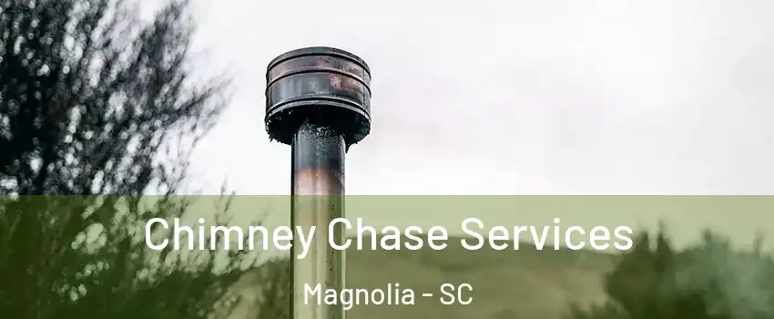 Chimney Chase Services Magnolia - SC