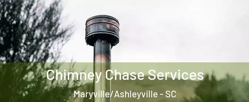 Chimney Chase Services Maryville/Ashleyville - SC