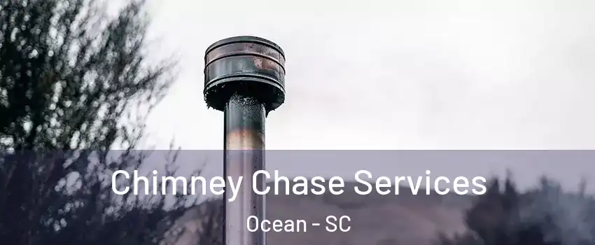 Chimney Chase Services Ocean - SC