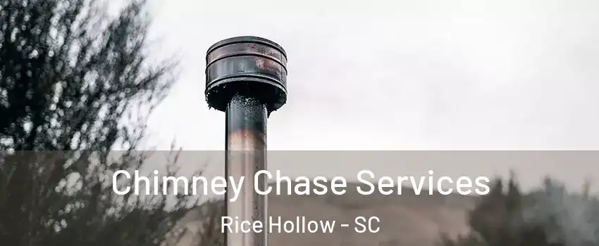 Chimney Chase Services Rice Hollow - SC