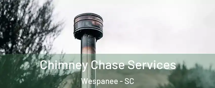 Chimney Chase Services Wespanee - SC