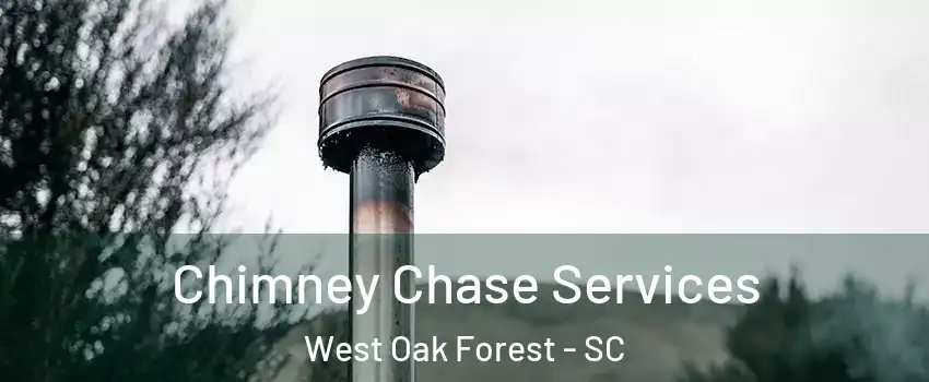 Chimney Chase Services West Oak Forest - SC