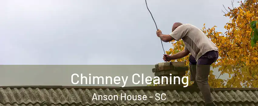 Chimney Cleaning Anson House - SC