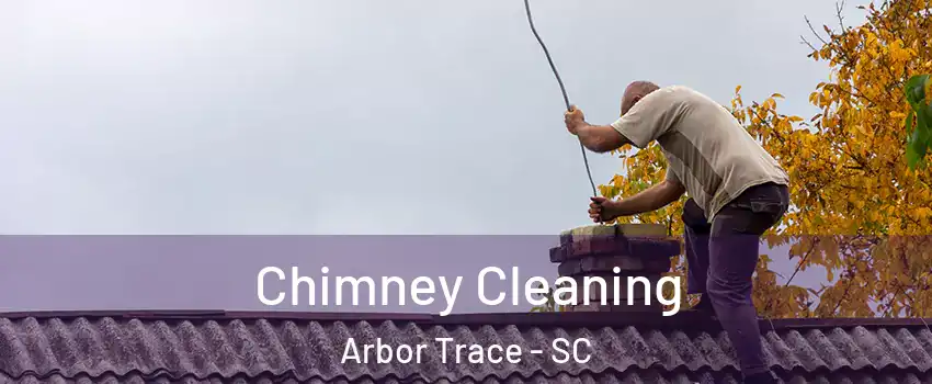 Chimney Cleaning Arbor Trace - SC