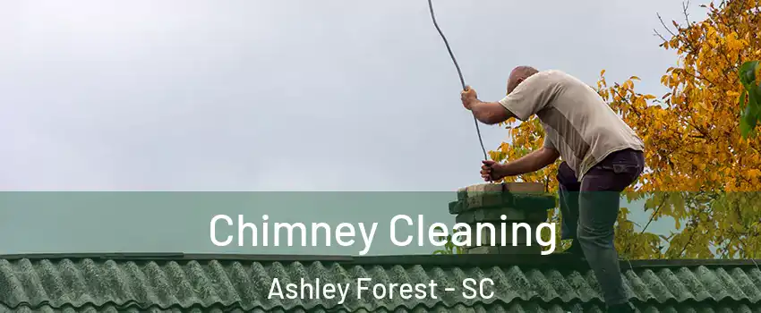 Chimney Cleaning Ashley Forest - SC