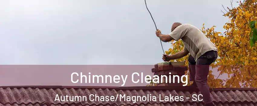 Chimney Cleaning Autumn Chase/Magnolia Lakes - SC