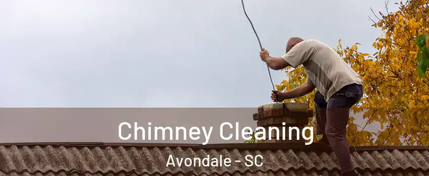 Chimney Cleaning Avondale - SC