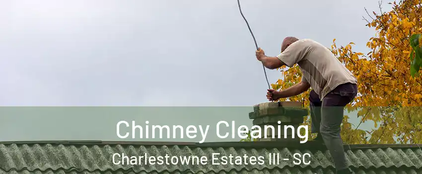 Chimney Cleaning Charlestowne Estates III - SC