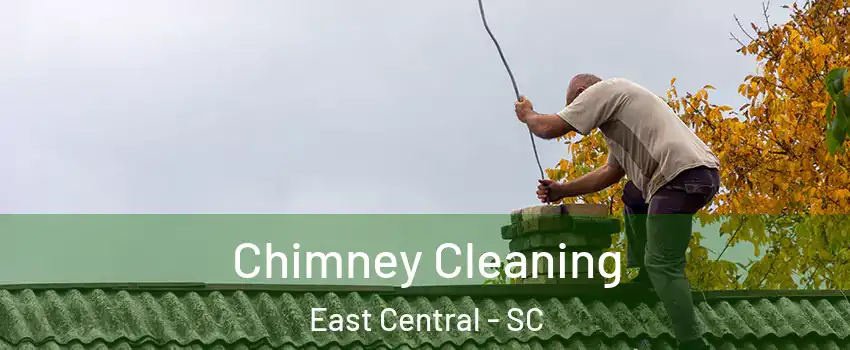 Chimney Cleaning East Central - SC