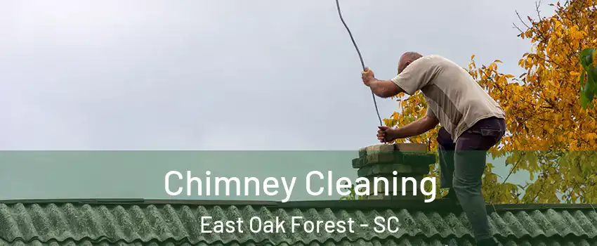 Chimney Cleaning East Oak Forest - SC