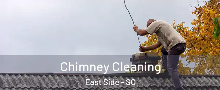 Chimney Cleaning East Side - SC