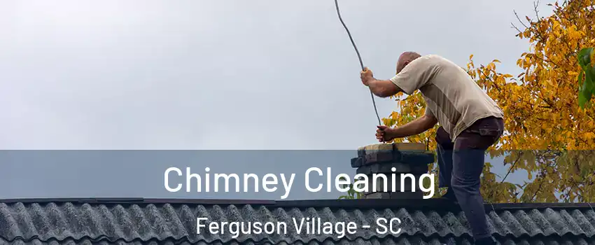 Chimney Cleaning Ferguson Village - SC