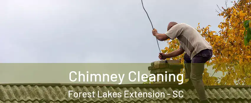 Chimney Cleaning Forest Lakes Extension - SC