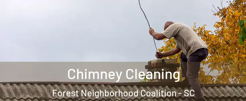 Chimney Cleaning Forest Neighborhood Coalition - SC