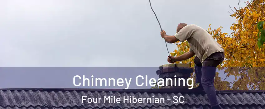 Chimney Cleaning Four Mile Hibernian - SC