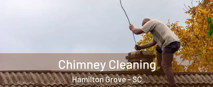 Chimney Cleaning Hamilton Grove - SC