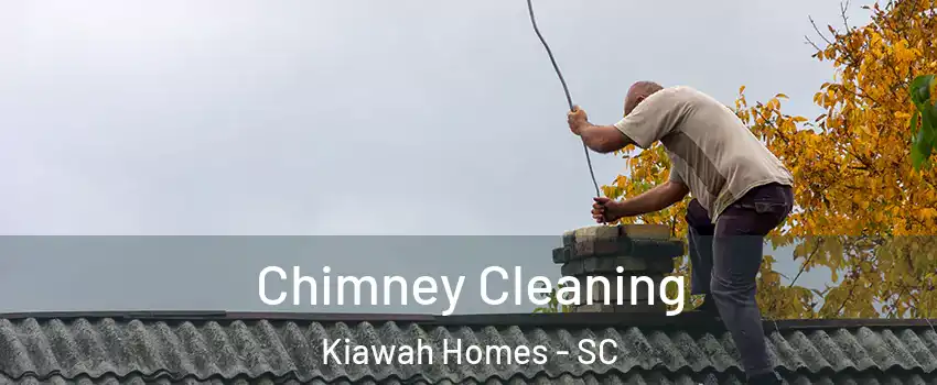 Chimney Cleaning Kiawah Homes - SC