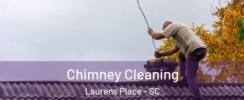 Chimney Cleaning Laurens Place - SC