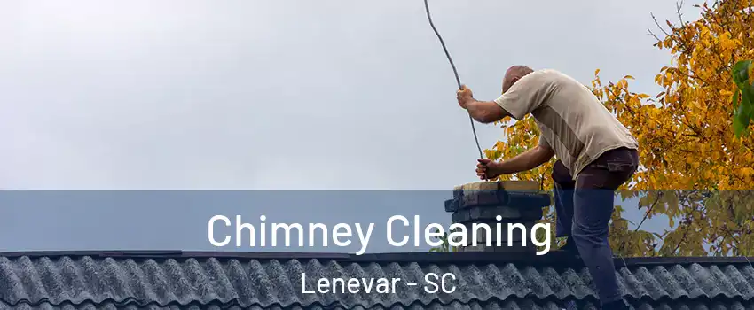 Chimney Cleaning Lenevar - SC