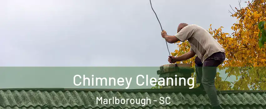 Chimney Cleaning Marlborough - SC