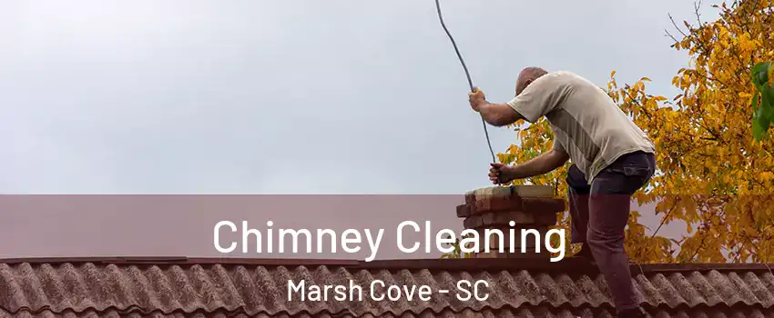 Chimney Cleaning Marsh Cove - SC