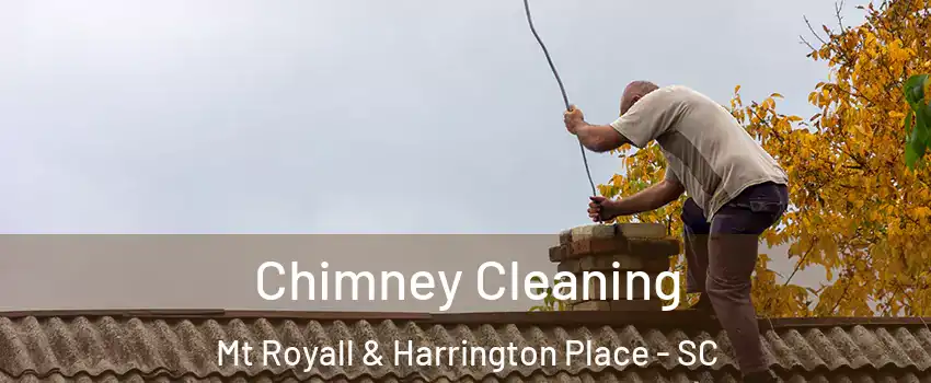 Chimney Cleaning Mt Royall & Harrington Place - SC