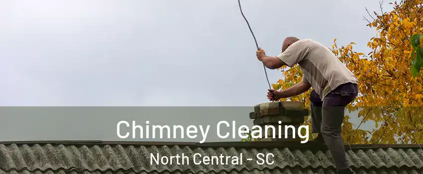 Chimney Cleaning North Central - SC