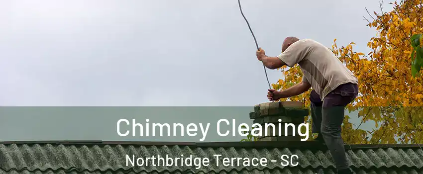 Chimney Cleaning Northbridge Terrace - SC