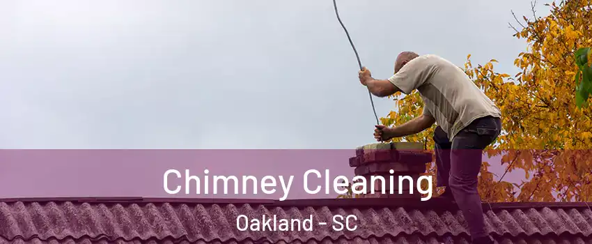 Chimney Cleaning Oakland - SC