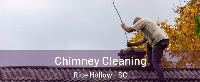 Chimney Cleaning Rice Hollow - SC