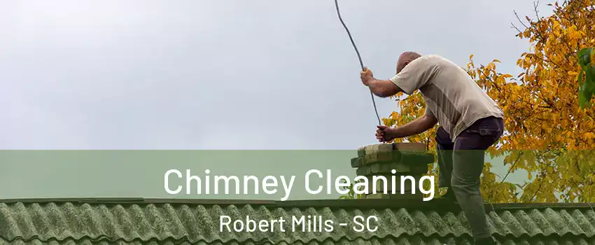 Chimney Cleaning Robert Mills - SC