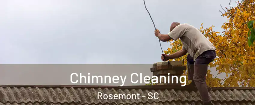 Chimney Cleaning Rosemont - SC