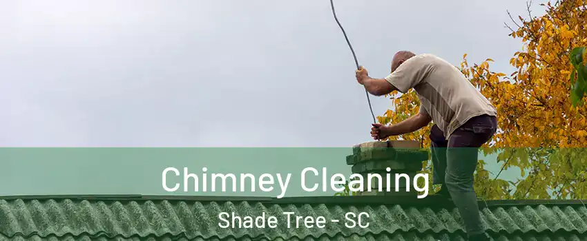 Chimney Cleaning Shade Tree - SC