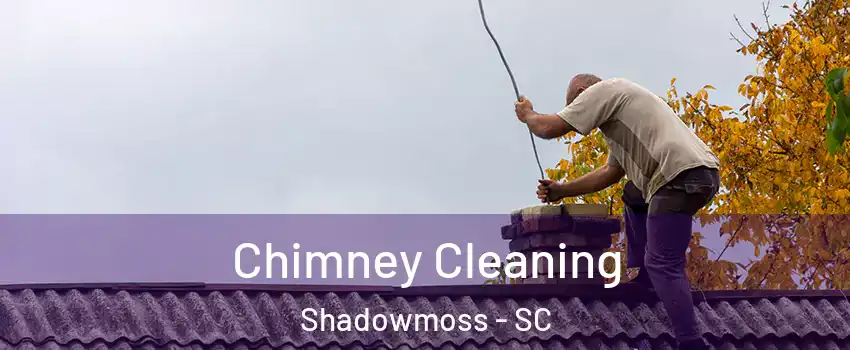 Chimney Cleaning Shadowmoss - SC