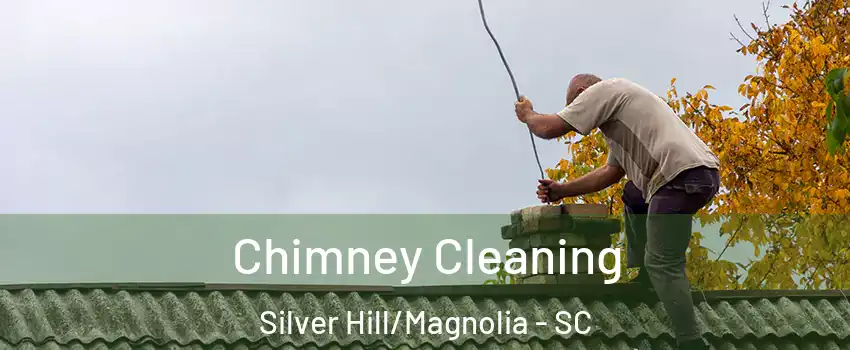 Chimney Cleaning Silver Hill/Magnolia - SC